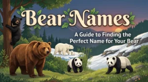 Captivating Bear names with name generator