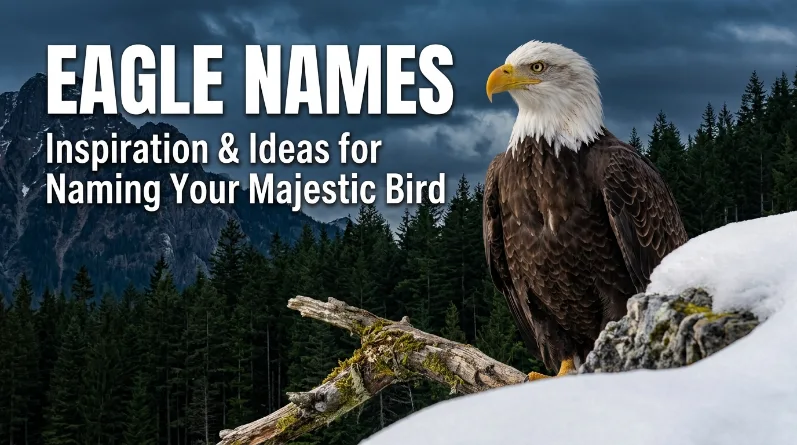 Eagle names with name generator