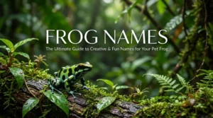 Frog names with name generator