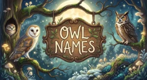 Enchanting Owl names with name generator
