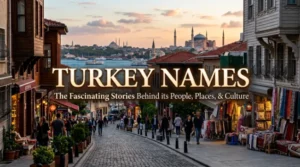 Turkey names with name generator