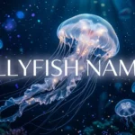 Jellyfish names with name generator