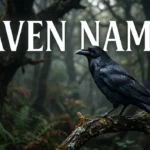 Raven names with name generator